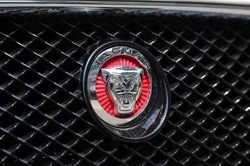 車標(biāo)上的動物都是啥來頭？看完又能出去裝X了