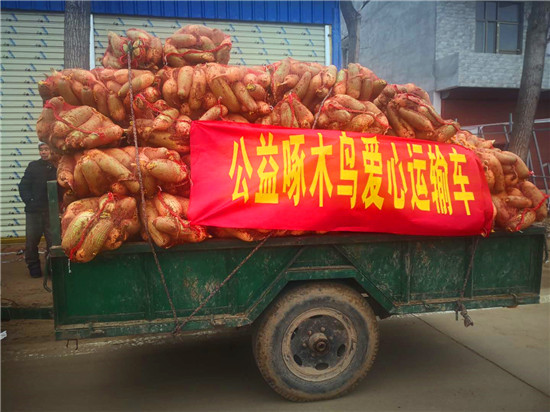 ＂愛(ài)心蘿卜＂來(lái)了！