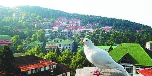  有著“云中山城”之稱的牯嶺鎮(zhèn)面臨著遷民下山。